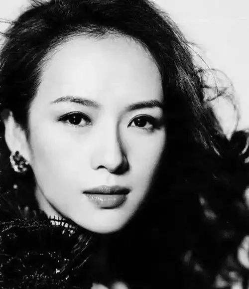 酱园弄事件持续发酵章子怡发飙原因疑曝光评论引发大翻车