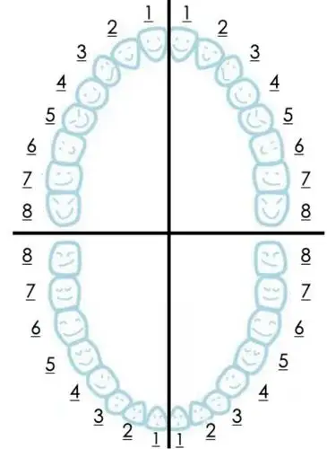 你真的会刷牙吗-健康小常识