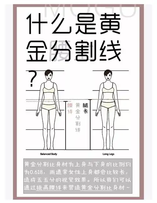 身材上的黄金分割是指上身与下身的比例约为0.