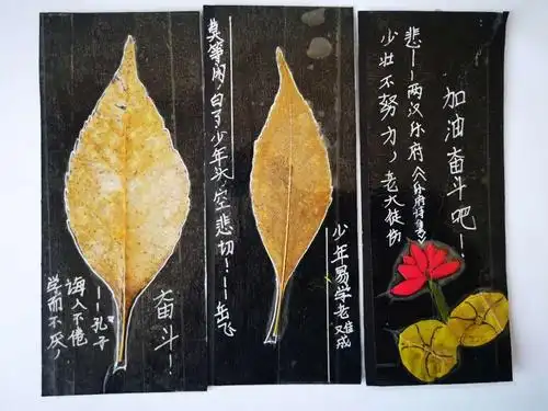 小树叶大创意小书签大激励一一秀延小学五年级(7)班树叶书签展评