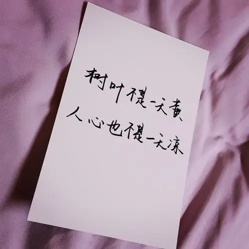 堆糖-手写…_来自diors5的图片分享-堆糖