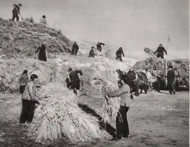70年代记忆(20)-怀旧图片欣赏_农业_劳动_革委会