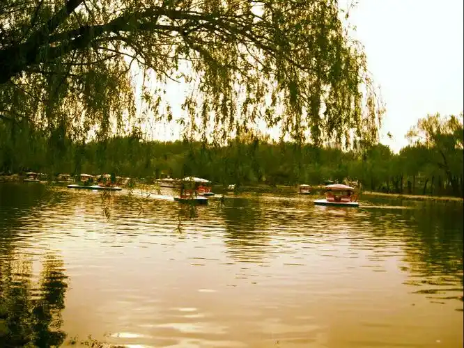 算不上好片,只是习惯用手机,随时记录身边的美景