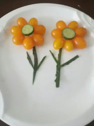 第二小学五年三班张哲同学制作的水果拼图美篇