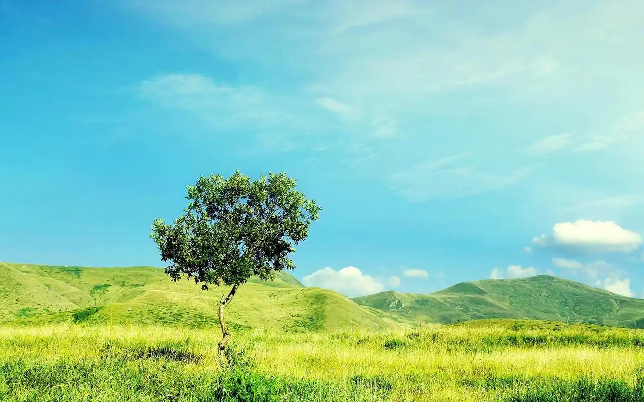 清新护眼自然风光图片高清桌面壁纸