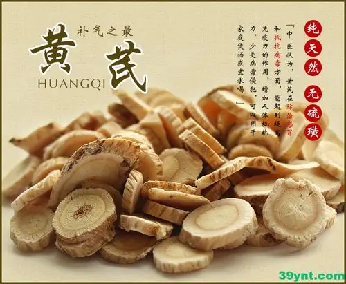 的作用与功效与作用_黄芪的作用与功效与副作用_精黄芪的功效与作用