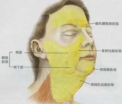 为什么韩素希这张下颌线如此顺滑气质反而很凌厉