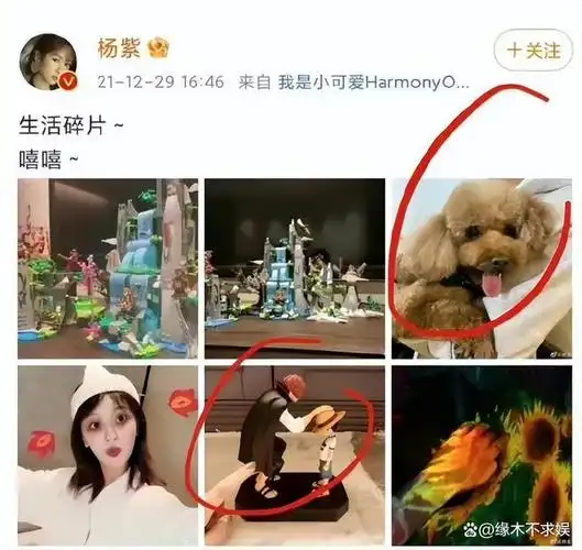 两人同在一小区,男方身份遭扒,细节都对上|恋情|张艺兴|综艺节目_网易