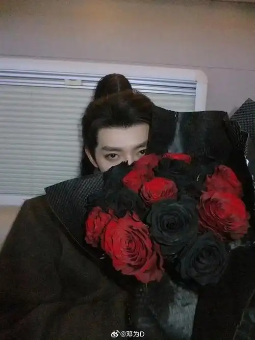 邓为情人节营业玫瑰大片帅吗