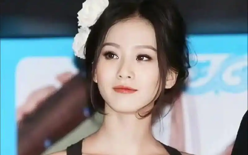 刚出道的刘诗诗好美