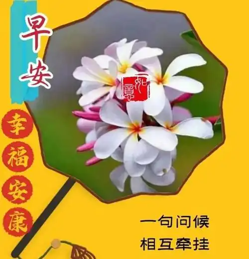 清晨发老同学温馨美好的早上好问候语最新版早安问候语图片