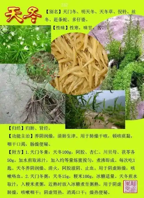 300种常见中草药图谱