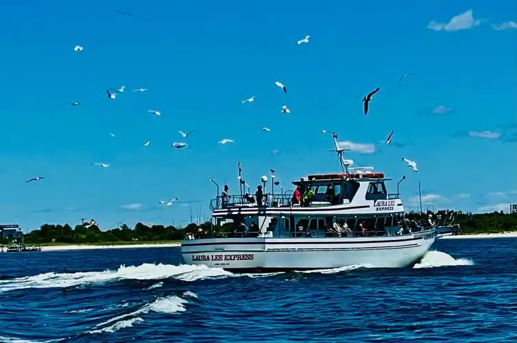 海鸥伴云追渔船