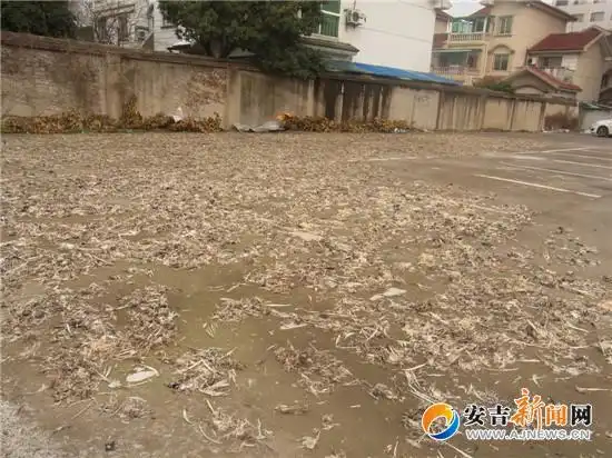 [图文]停车场变晾晒场 一地鸡毛惹人烦