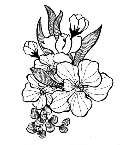 画画就是这么简单,分步骤教你画线描画,你学会了吗?