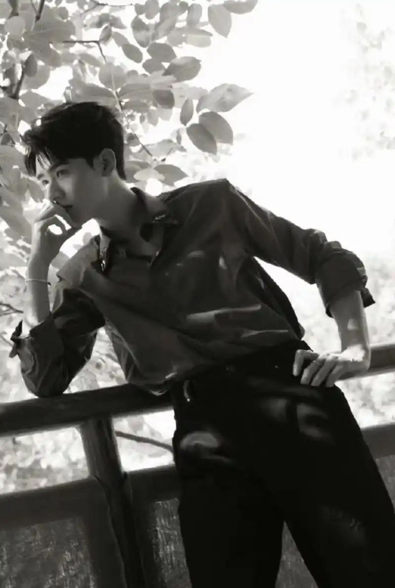 龚俊分享衬衫帅照,绿植和藤椅以及复古的滤镜,把整个画面质感提升了