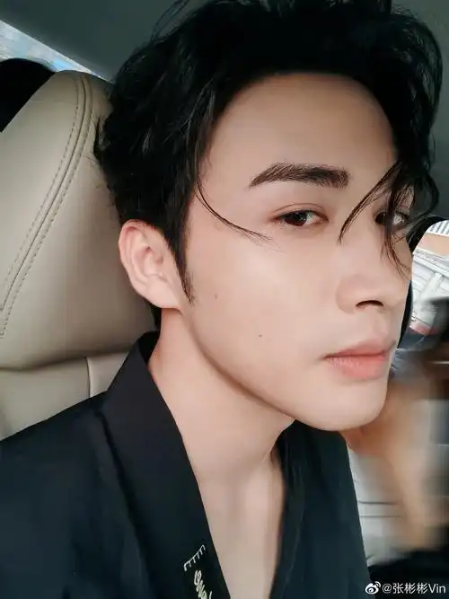 张彬彬发博晒车内侧颜自拍什么角度都好帅啊
