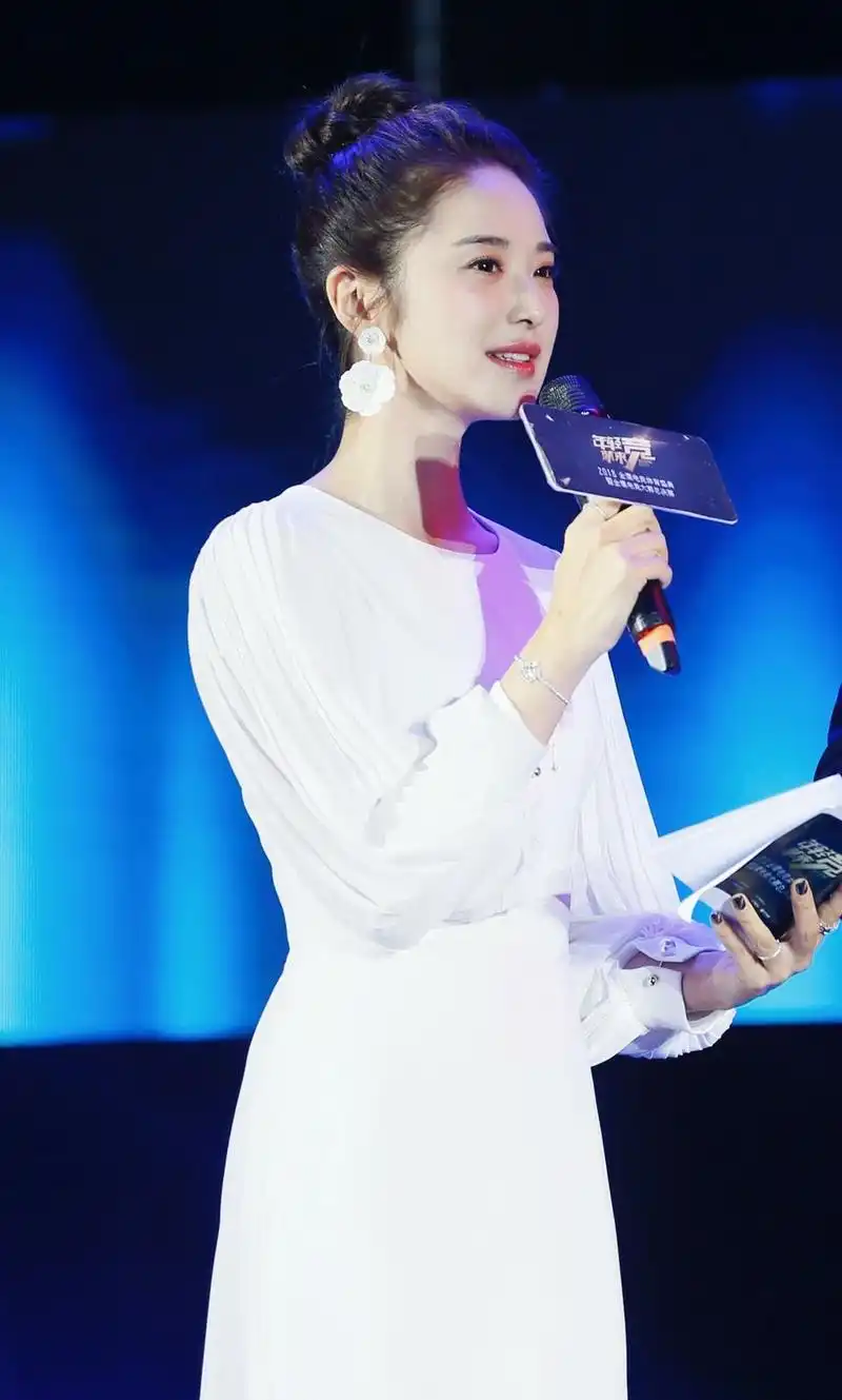 湖南卫视主持人,刘烨图集