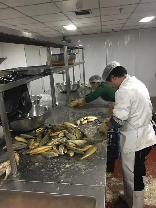 2016感谢有你《我的厨房兄弟姐妹》