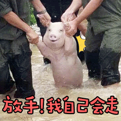 微笑猪表情包 恶搞微笑猪表情包