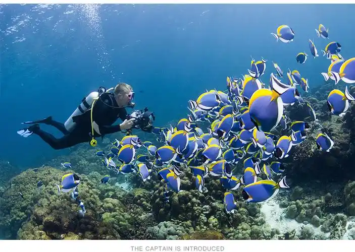 三亚亚龙湾西排岛潜水一日游潜水培训远海潜水摩托艇香蕉船三亚市区