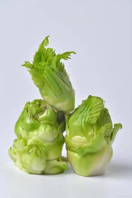 导读:南方常见的5种蔬菜,在北方十分罕见,就连南方人也未必全吃过