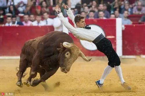 西班牙上演惊险斗牛赛 斗牛士各显神通