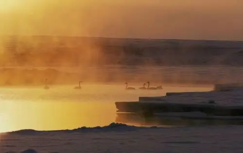 七宝莲池会 八功德水 这里是天堂