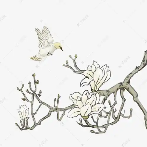 中国风古典手绘花鸟矢量图