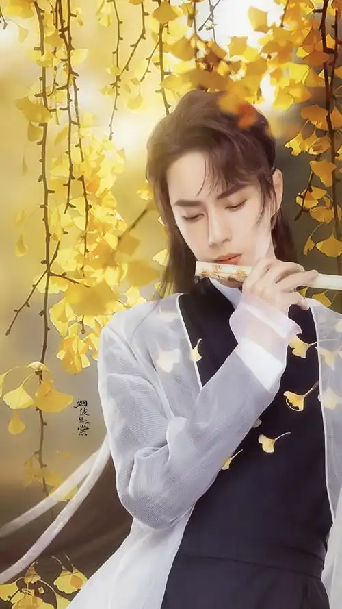 王一博 新国风造型# #王一博梦幻独家营业#   银杏树下的少年 cr