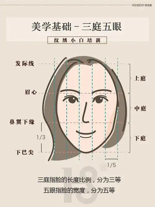 [氛围感r]今天给大家分享面部美学的审美标准,三庭五眼,四高三低,与