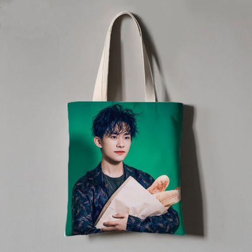 易烊千玺包包仙鹤tfboys学生书包明星应援单肩手提拎购物袋帆布袋