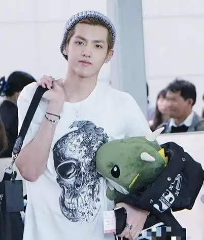 图吴亦凡机场白菜玩偶狂拽酷炫吊炸天