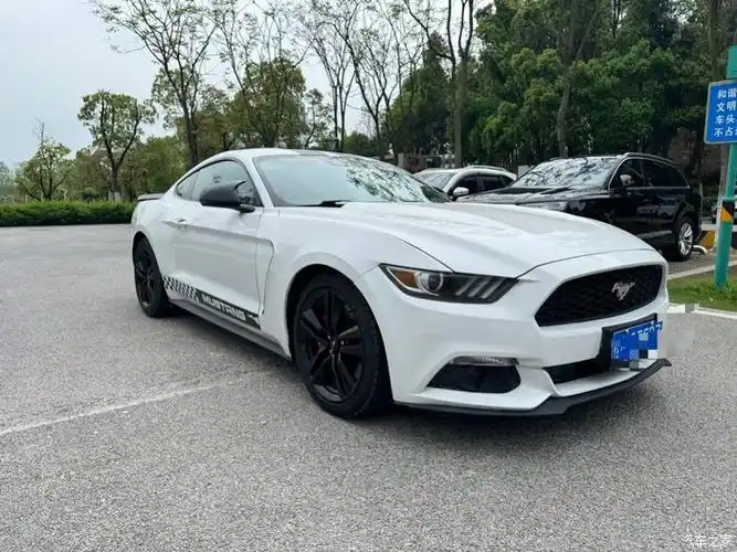 出售16年中归野马八万公里前嘴小瑕疵价格不高接受的来