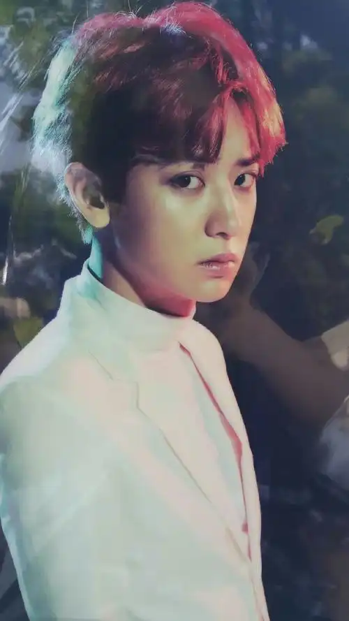 exo#三巡#朴灿烈 - 堆糖,美图壁纸兴趣社区