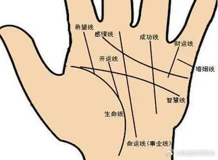 免费看手相,请看我置顶微博.男性手掌上的财运线.