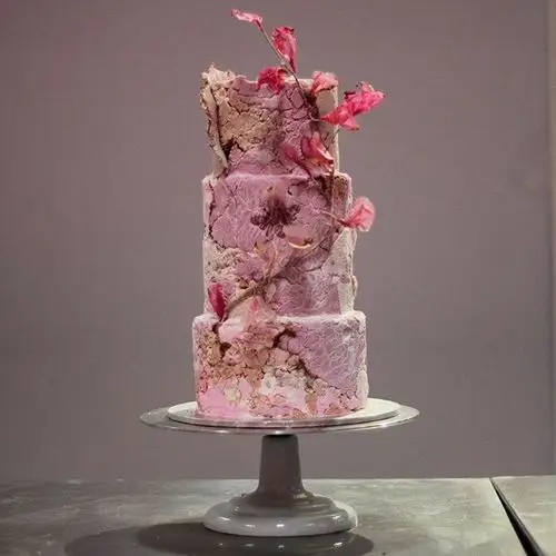 这些装饰漂亮的蛋糕与艺术品有一拼价格也是同尺寸蛋糕的三倍