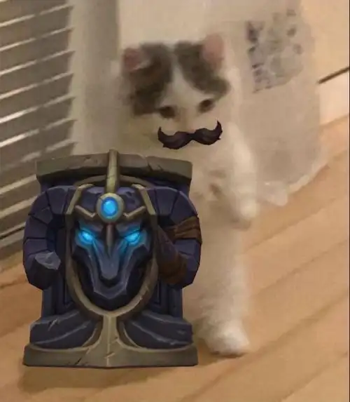 英雄联盟猫猫表情包(第二期)