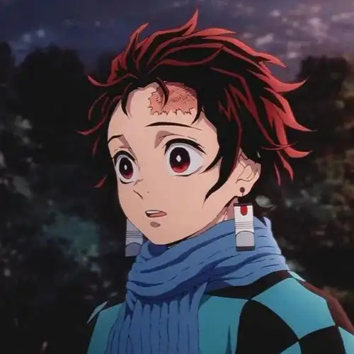 鬼灭之刃炭治郎头像