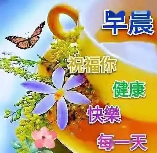 8月最新微信早上好暖心问候祝福语图片夏天温馨的早安好问候心语图片