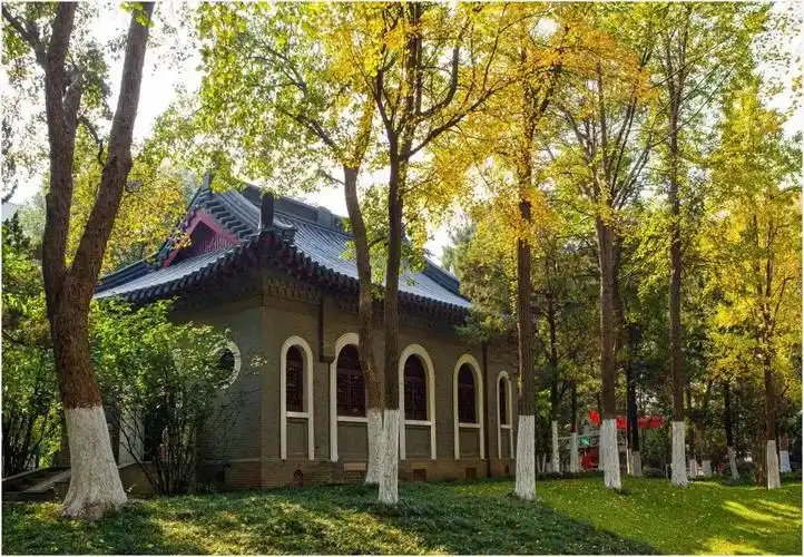 致我的南大:爱你不止两三句|南大|南京大学_新浪新闻