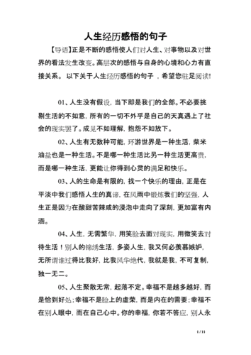 人生经历感悟的句子doc11页