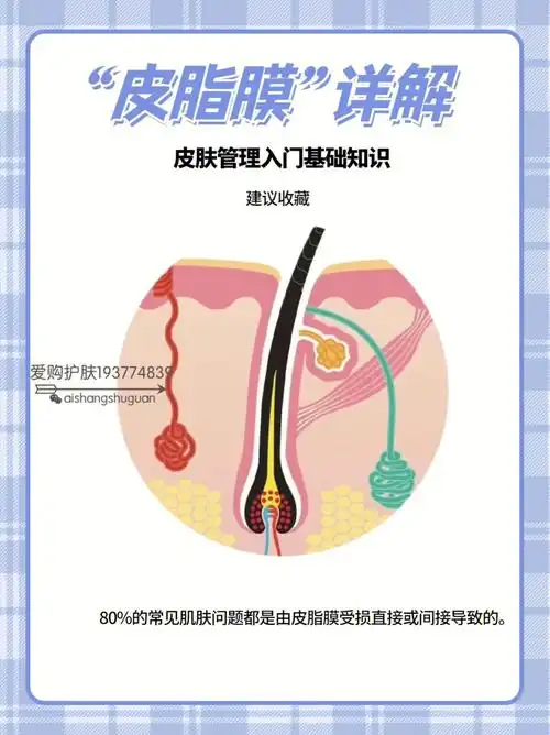 你的行为破坏皮脂膜了吗?对照一下!赶紧修复