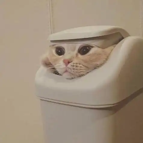 头像男生沙雕猫 男生头像图片大全 -【爱个性】