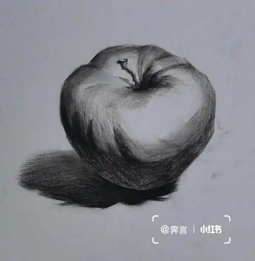 素描初学者鹅鹅鹅