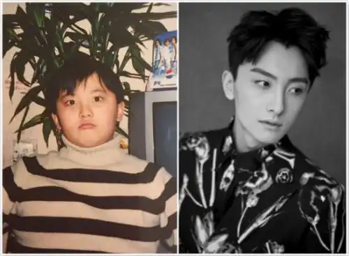 从胖子逆袭成男神女神的明星赵丽颖判若两人胡一天帅出新高度