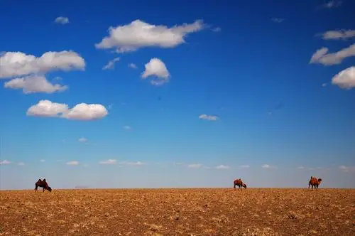 走进戈壁沙漠的美(gobi desert, mongolia) - apple 101°