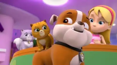 汪汪队:汪汪队带小猫咪去洗澡,它却抢走了滑板,太调皮了