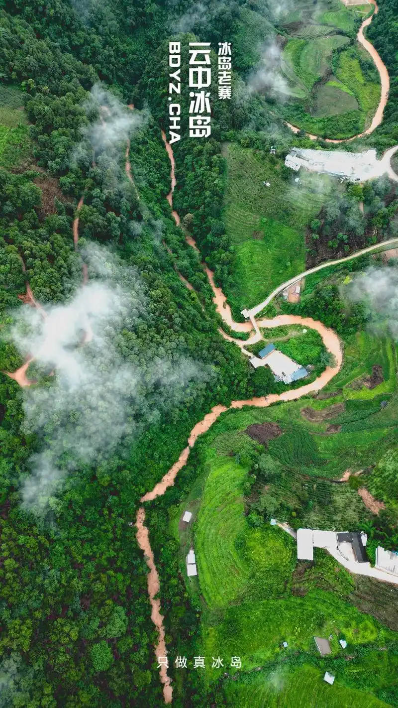 高山云雾【冰岛老寨】我们云中的护城河是什么?