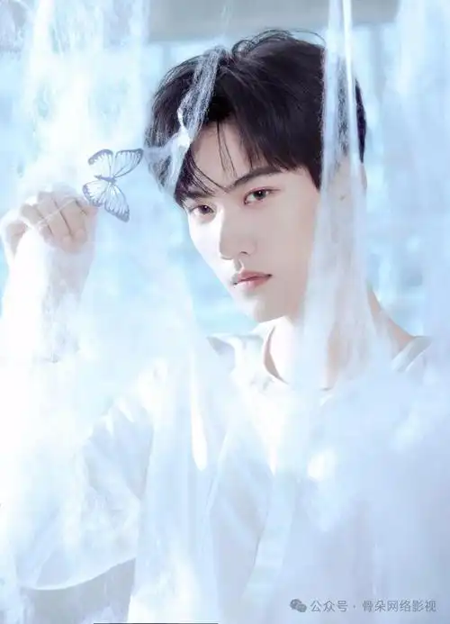 影视|高伟光|迪丽热巴_网易订阅